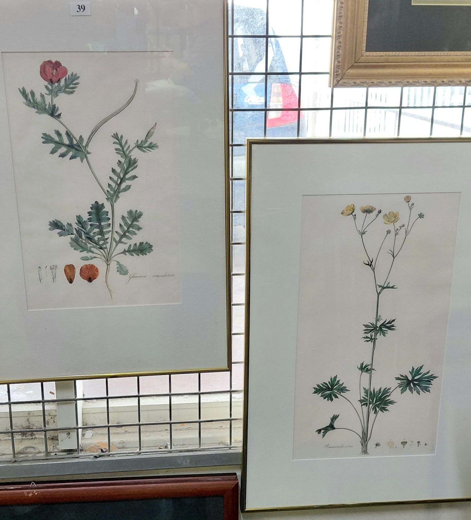 39 · A PAIR OF BOTANICAL PRINTS