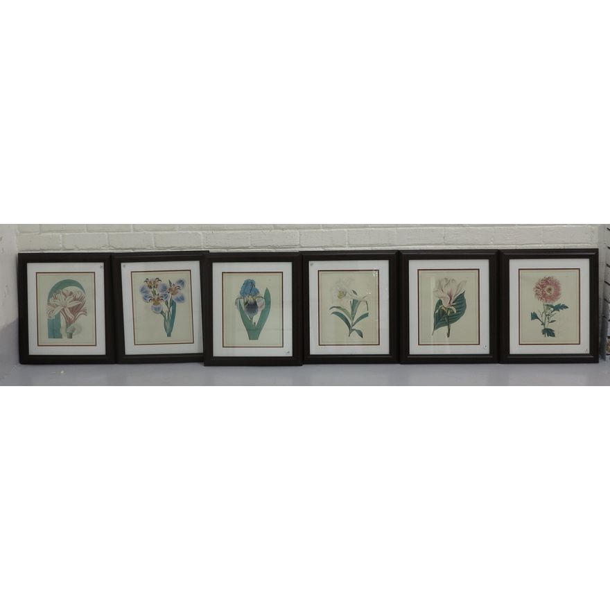 SET OF 6 FRAMED BOTANICAL PRINTS
