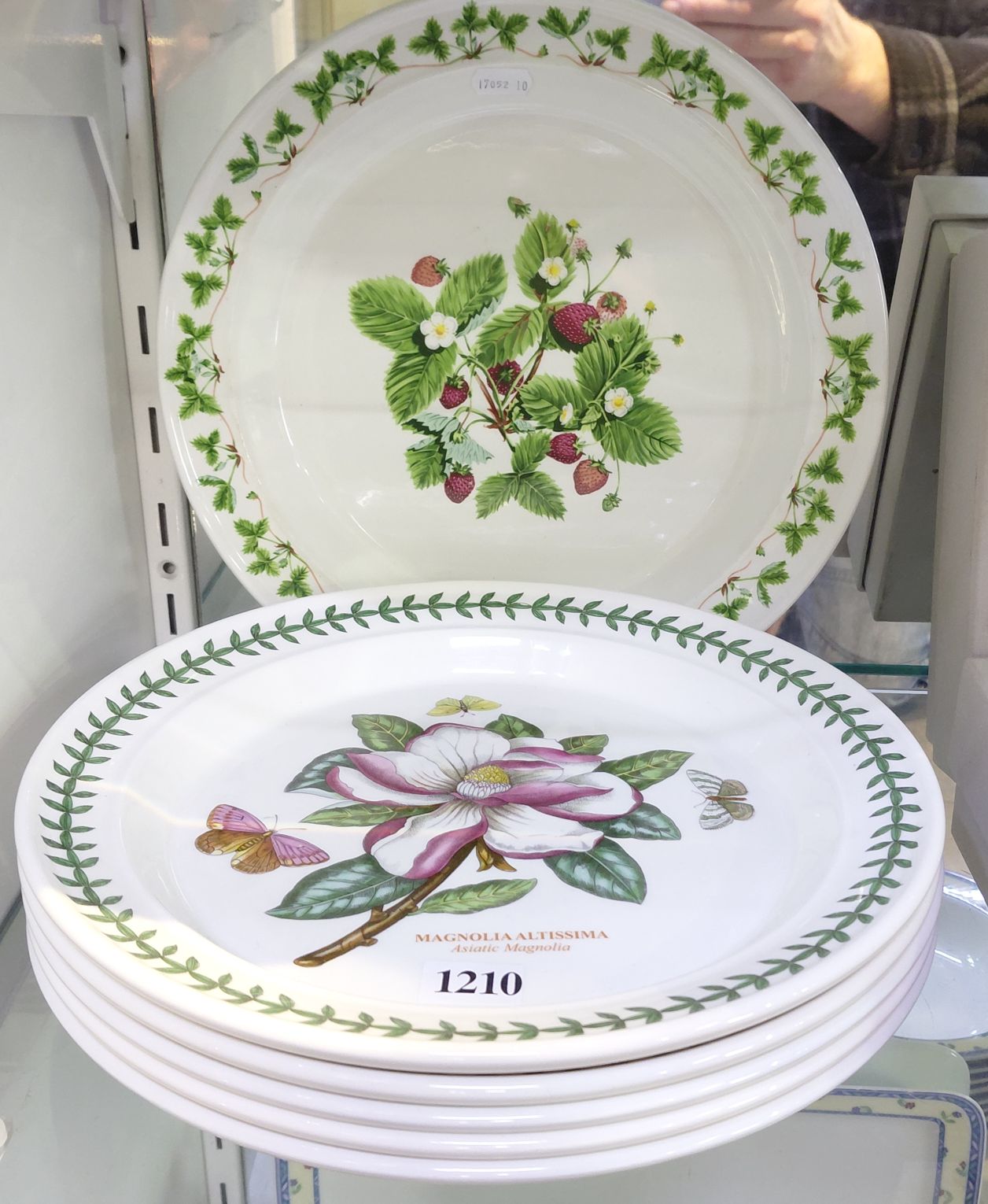 Portmeirion Dinner Plates
