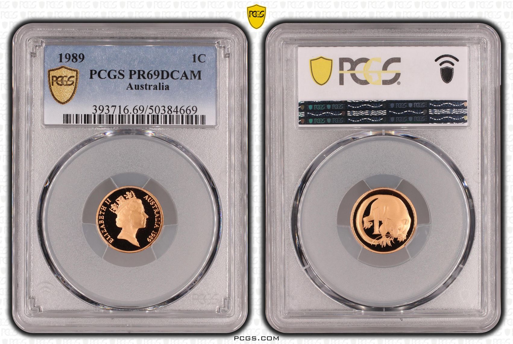 One Cent, 1989, Pcgs Pr69dcam