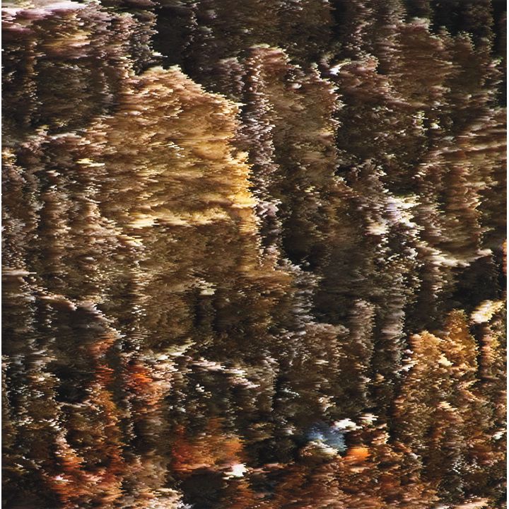Lisa Reihana 'Ngawha Panel 01'