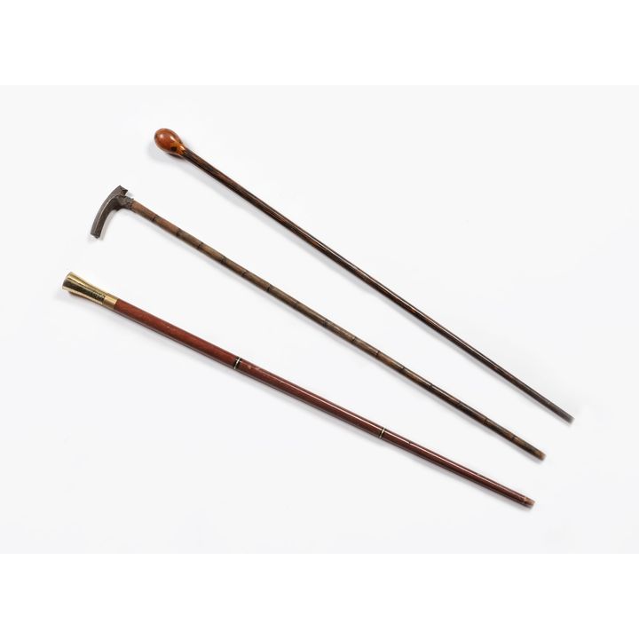 Three assorted wooden walking sticks