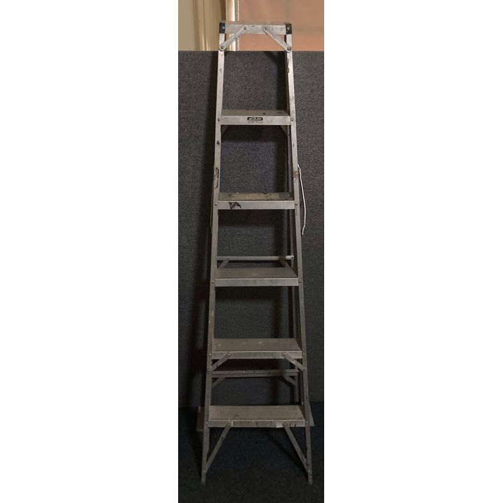 Bailey Aluminium Ladder