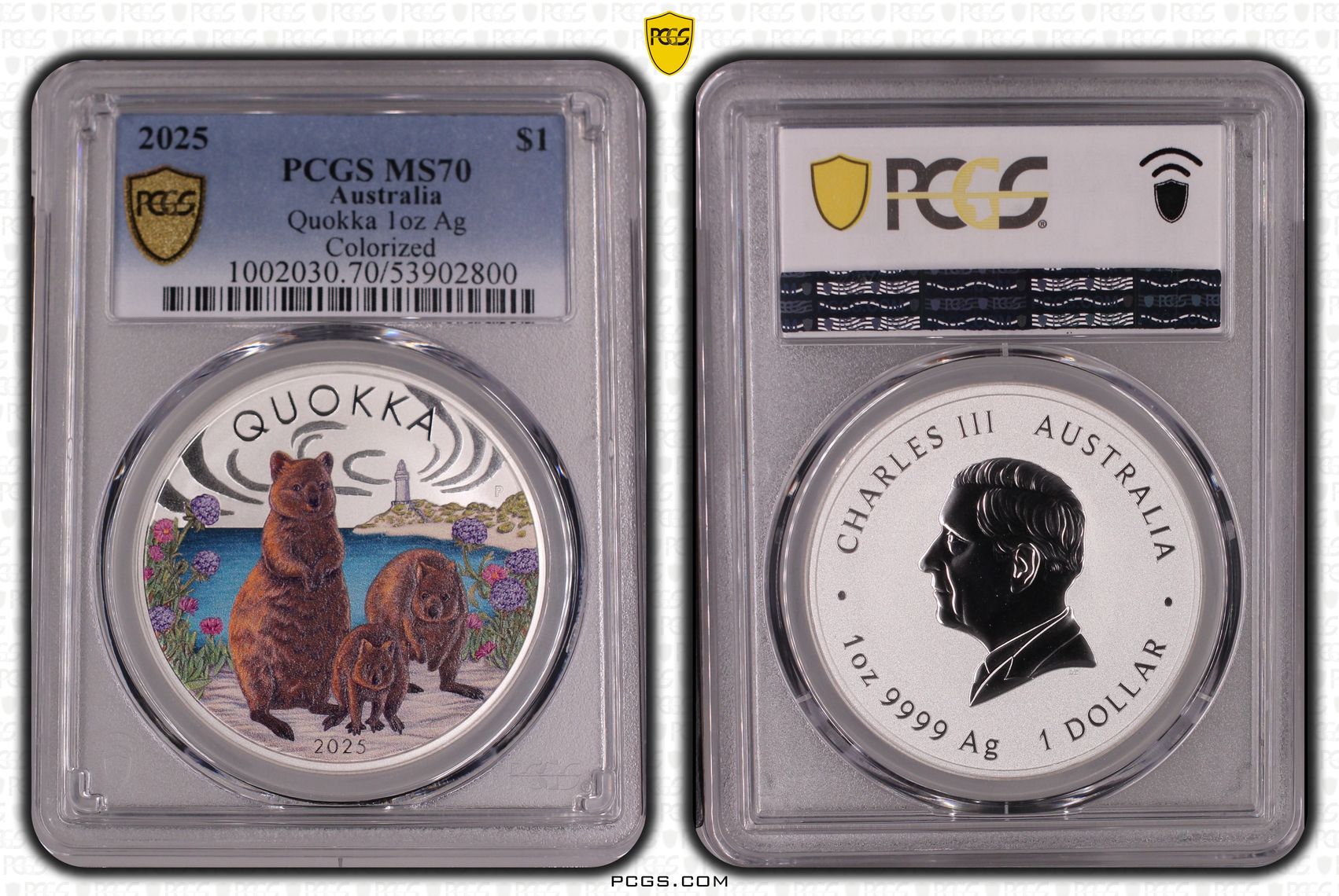 Quokka 1oz Silver Colourised, 2/0, One Dollar, 2025, MS70