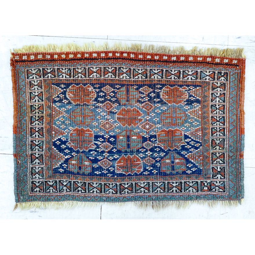 Persian Bagface