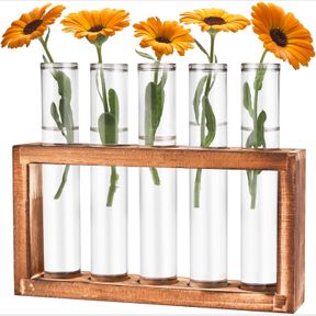 TIGVIO DESKTOP GLASS PLANT PROPAGATION STATION WITH 5 TEST TUBES IN WOODEN STAND - HYDROPONIC PLANTS CUTTING OFFICE HOME DECORATIO