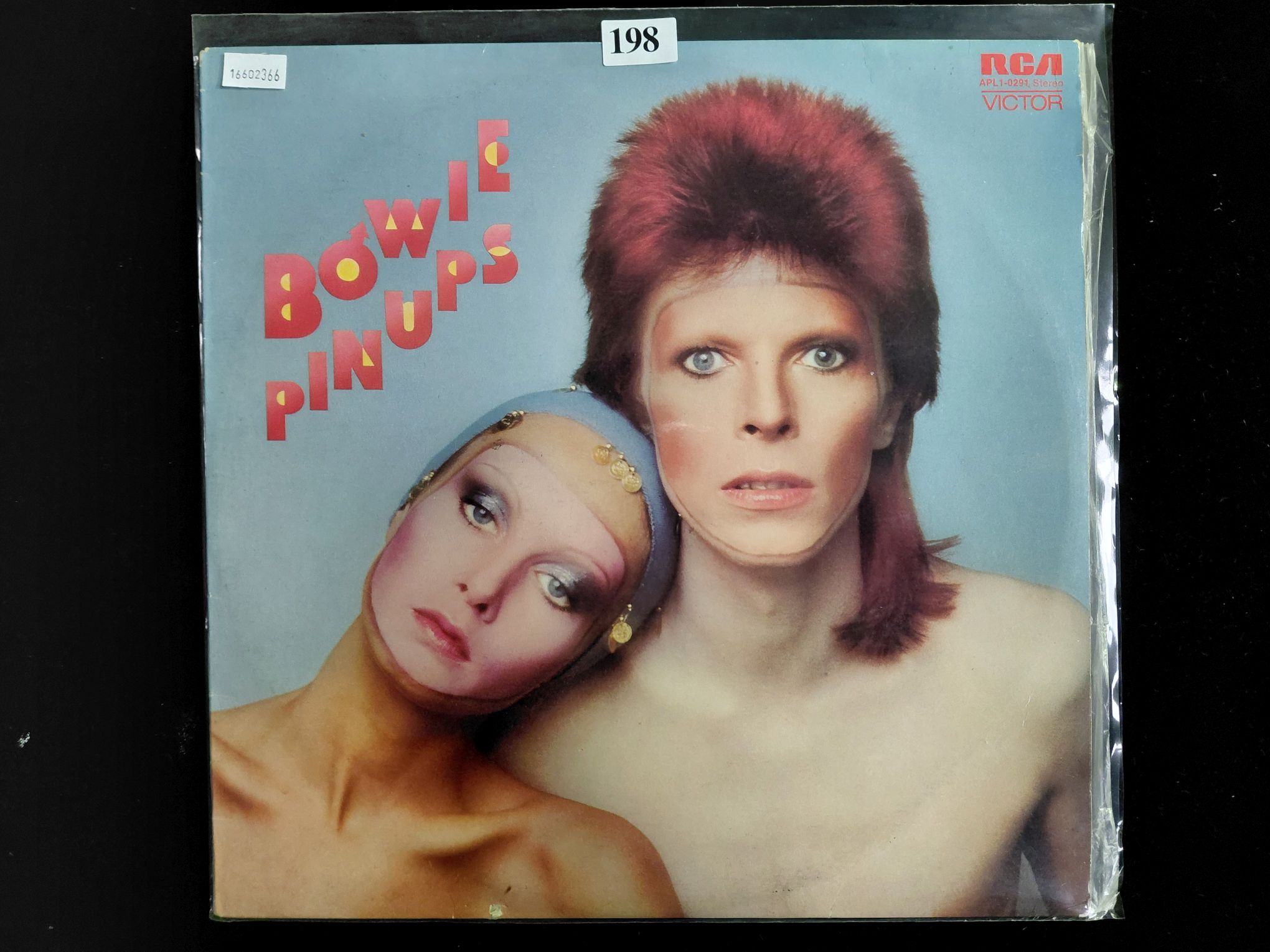 David Bowie