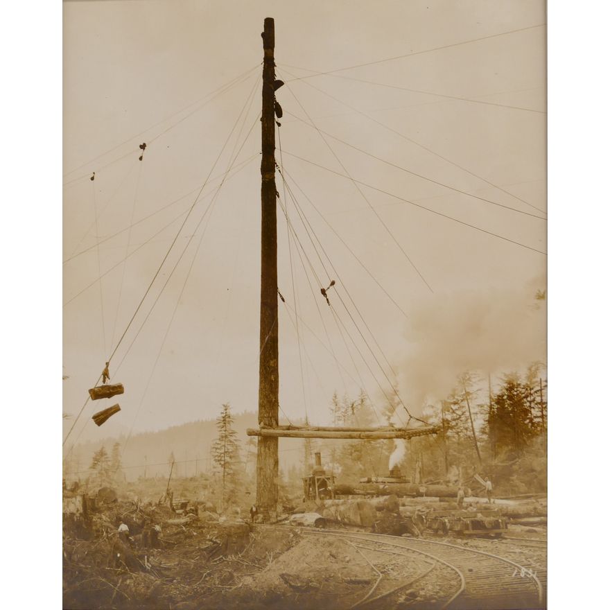 Harold M. Brown 'Spar Tree' No. 1851 Glossy Photograph.