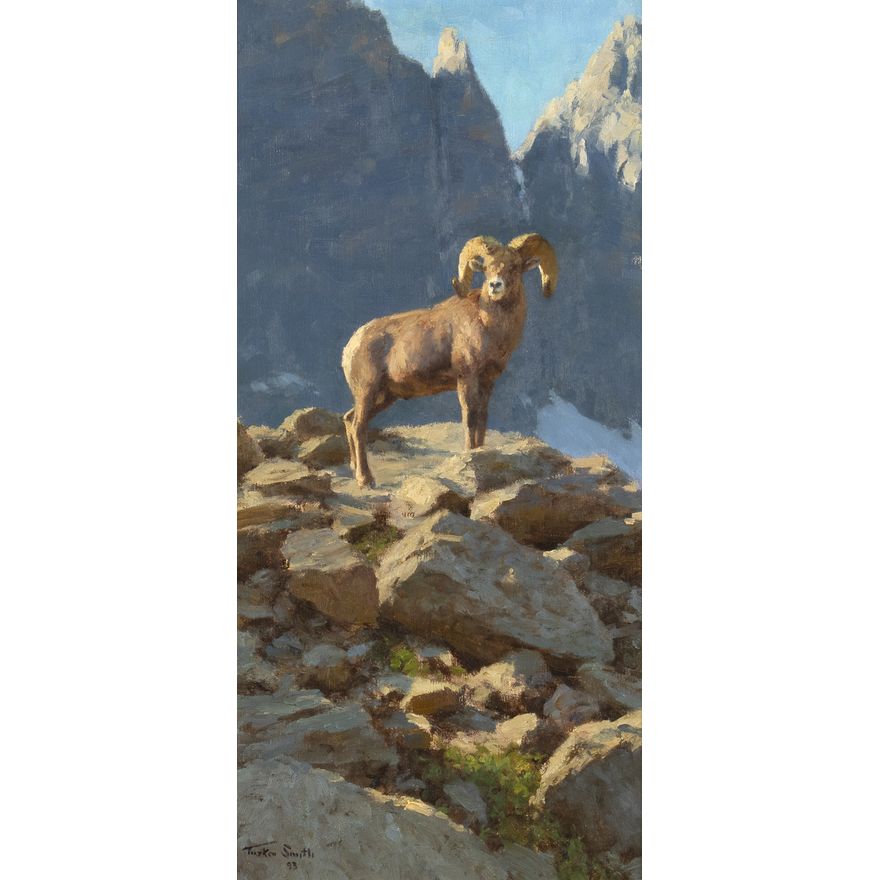 Tucker Smith (1940- ), Below Arrowhead Peak