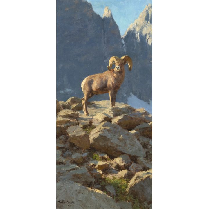 Tucker Smith (1940- ), Below Arrowhead Peak