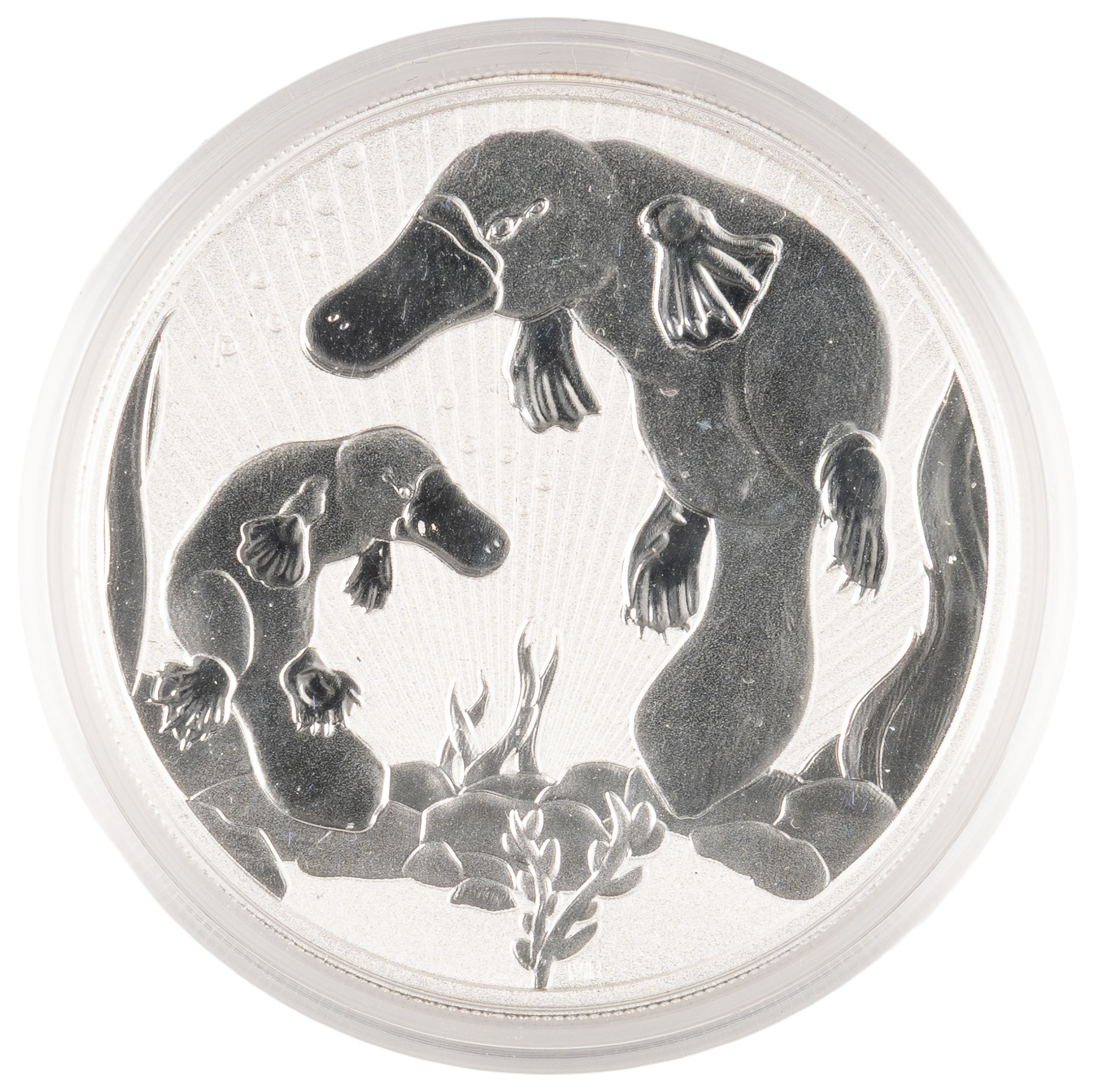 Elizabeth II, Perth Mint - Australian Platypus, Mother & Baby, Two Dollars, 2021-P, UNC