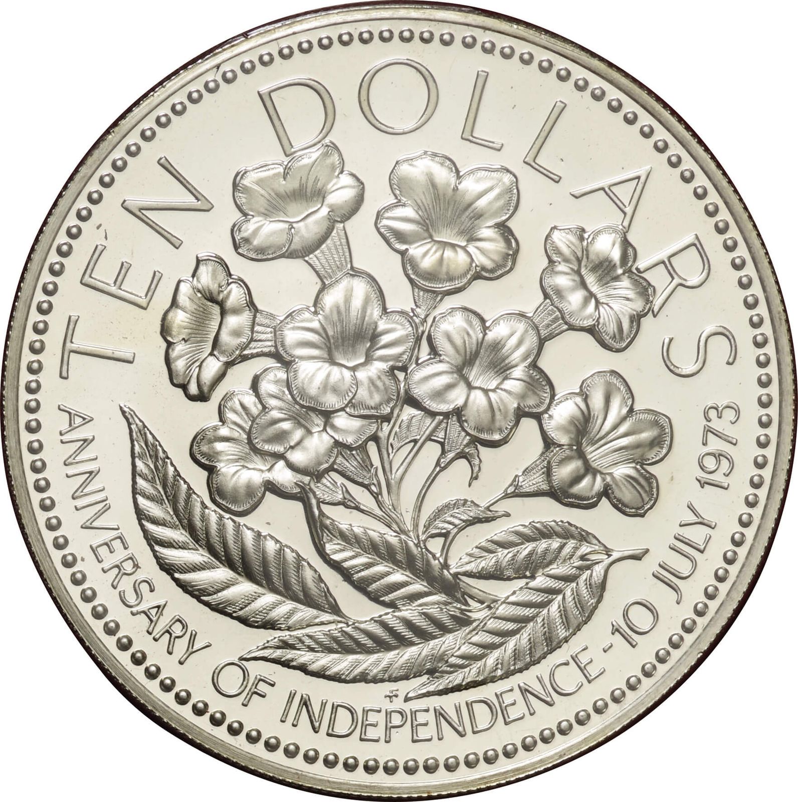 バハマ 1975年 10ドル銀貨 プルーフ バハマ 1975年 10ドル銀貨 プルーフ
