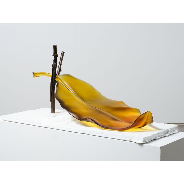 Ann Robinson 'The Nature of Nurture - Symbiont States Series'