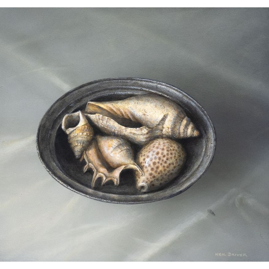 Neil Driver 'Shells on Pewter Plate'