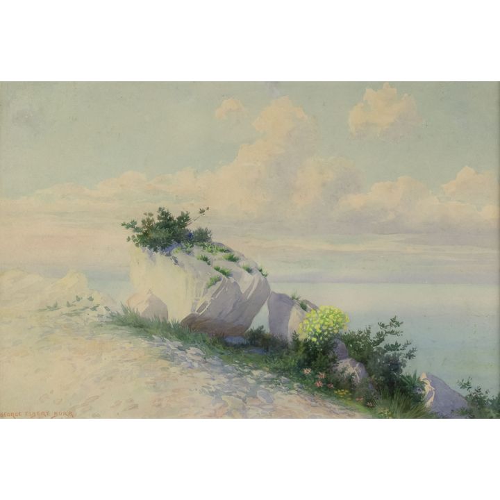 George Elbert Burr (1859-1939), Capri