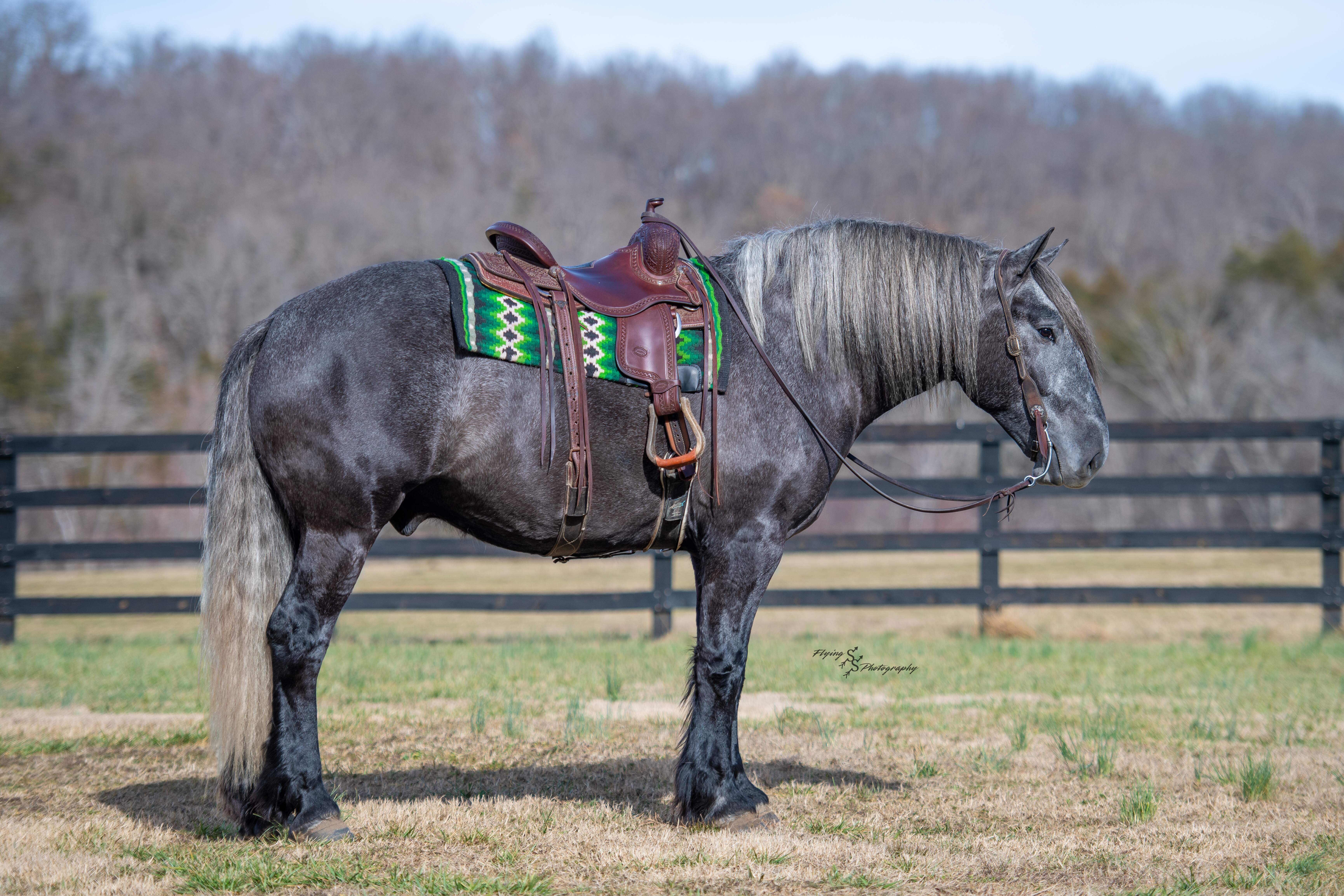 KEYSTONE | Horse Bid, LLC