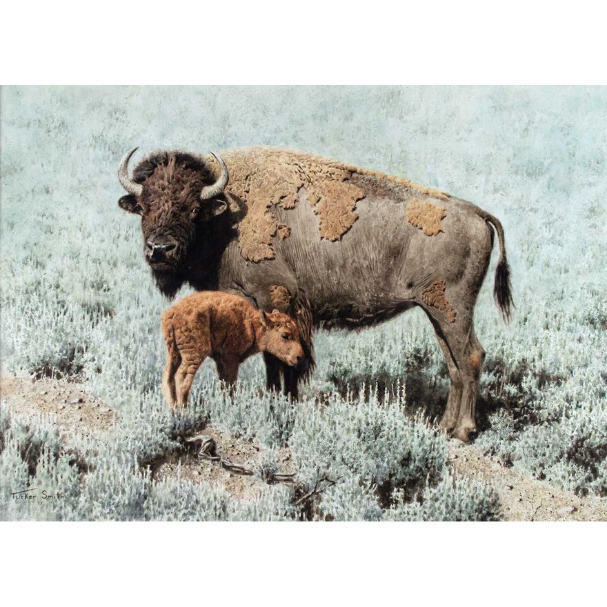 Bison with Calf by Tucker Smith (1940- )