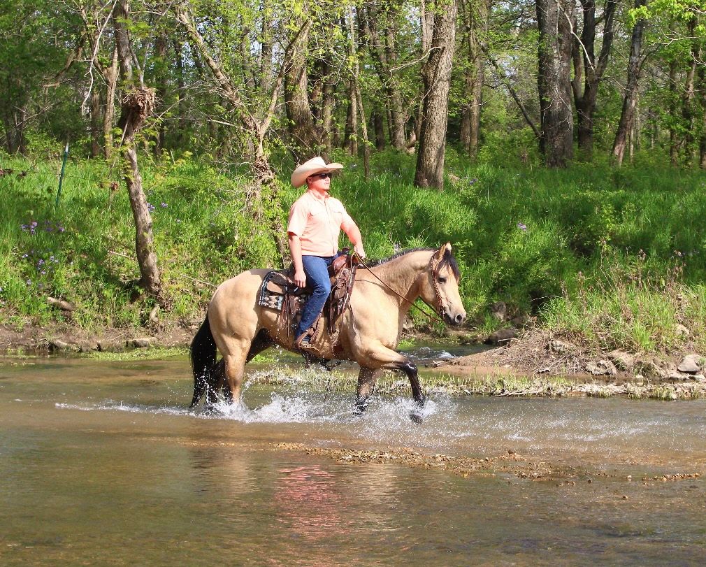 𝐃𝐢𝐥𝐥𝐨𝐧 Horse Bid, LLC