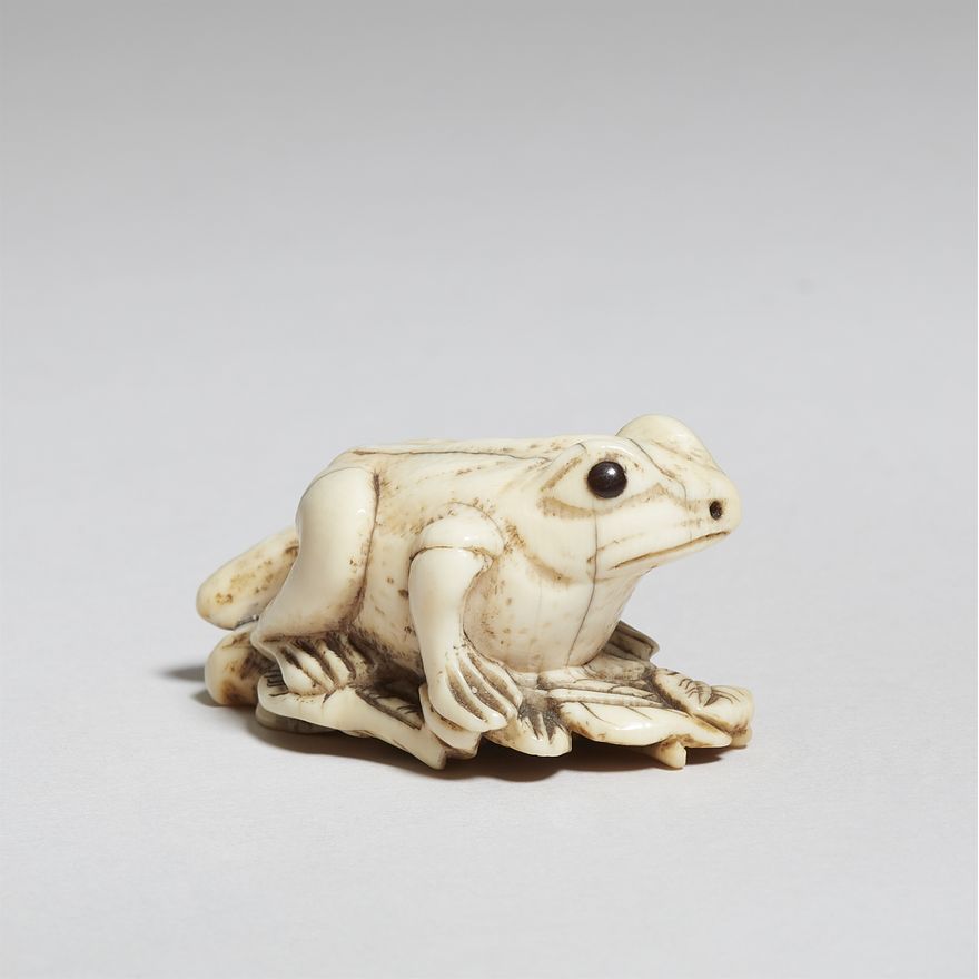 An ivory netsuke of a frog. 19th century