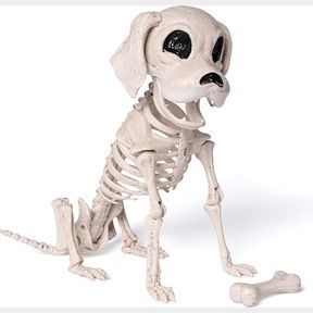 JOYIN Posable Halloween Dog Skeleton Full Body Posable Joints Skeleton Puppy for Halloween Decoration, (9.8 X 4.7 X 12.6
