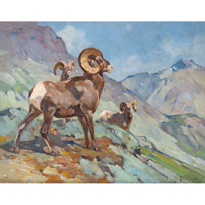 Rainbow Rams by Carl Rungius (1869-1959)