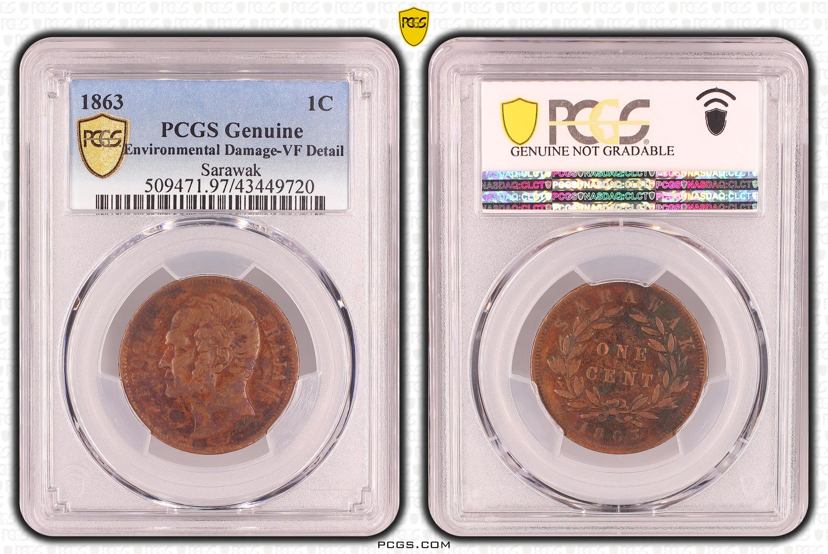 Sarawak, One Cent, 1863, PCGS Genuine - VF Details (97 - Environmental Damage)