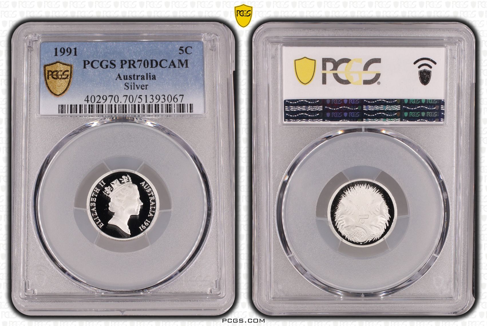 Elizabeth II, Silver, Five Cent, 1991, PCGS PR70DCAM