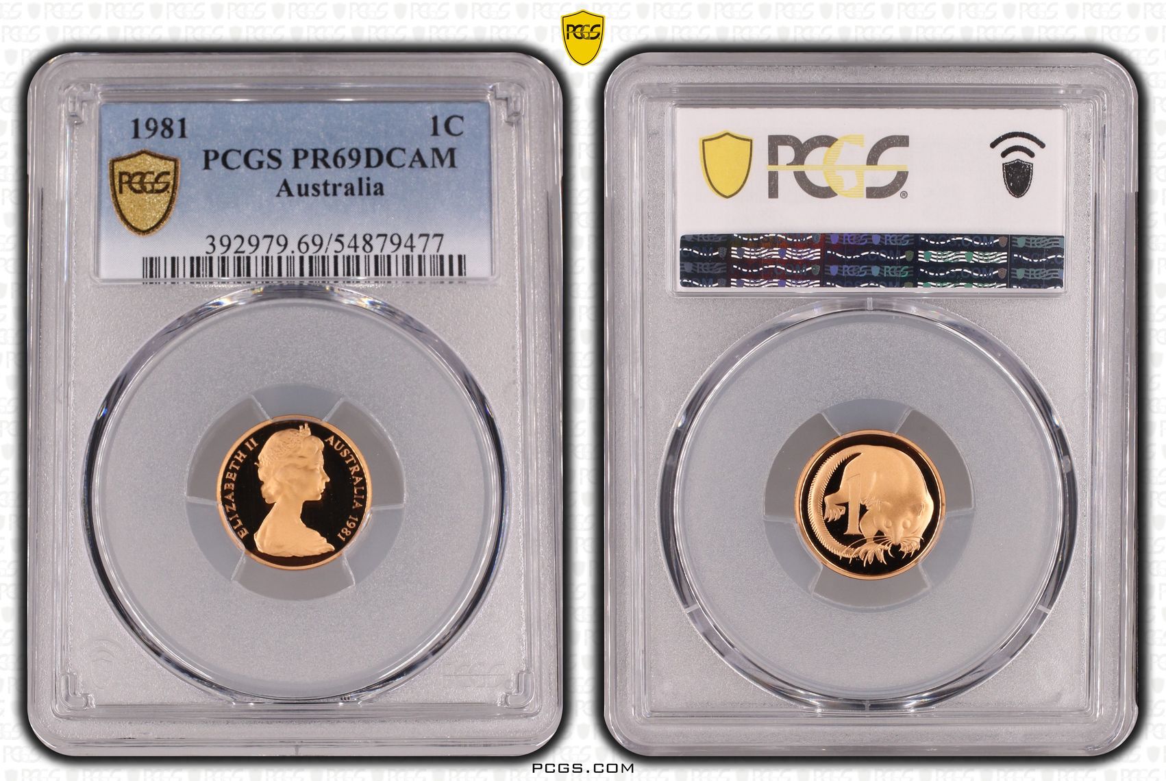 One Cent, 1981, Pcgs Pr69dcam