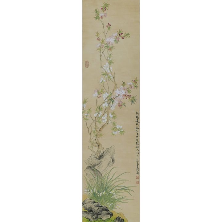 Yuping Jin Prunus Branch Scroll Painting
