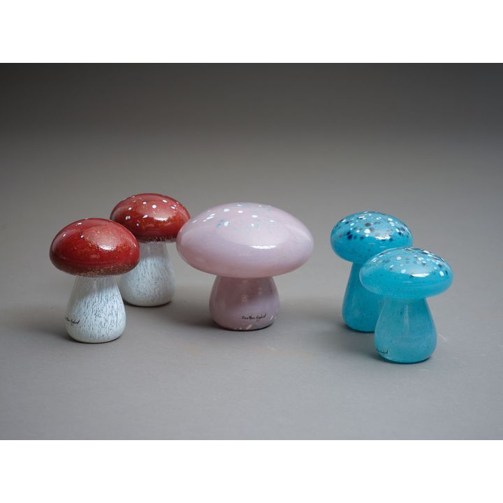 Ola and Marie Hoglund - A collection of five mushrooms