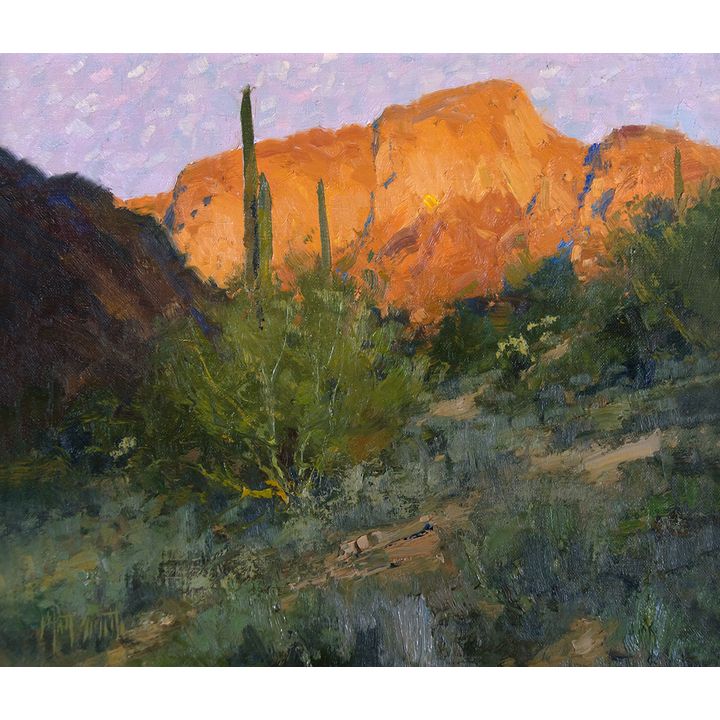 Sundown in the Canyon by Matt Smith (1960- )