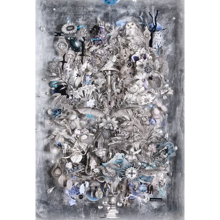 Peter Madden 'Still Life in a Silver Shadow'