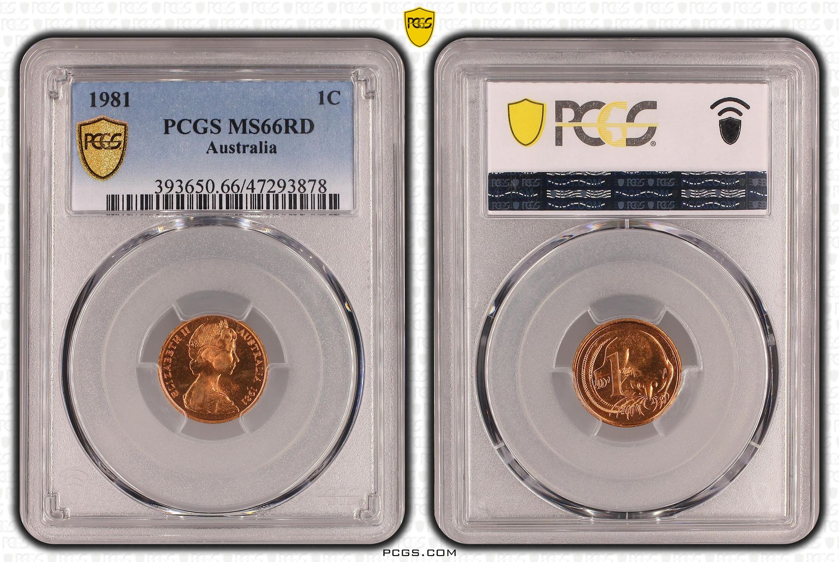 Elizabeth II, One Cent, 1981, PCGS MS66RD