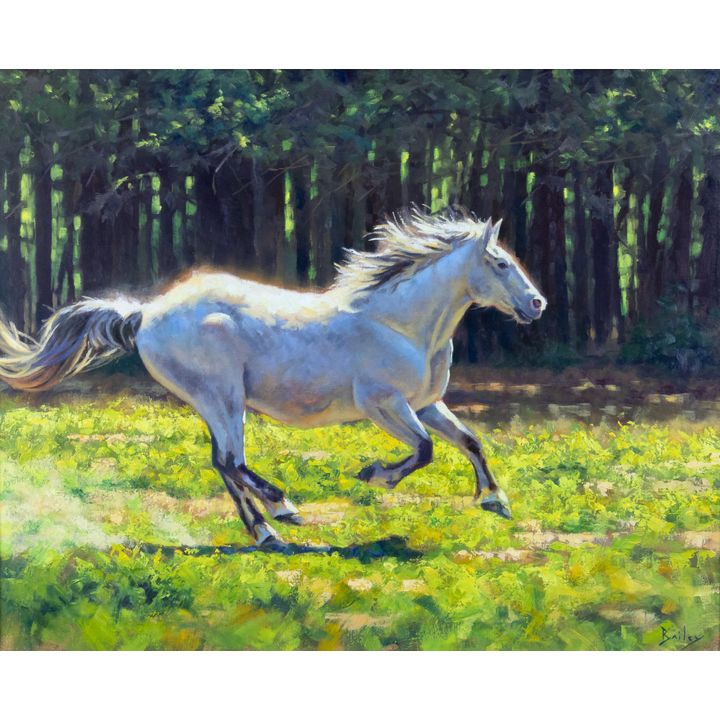 Brandon Bailey (1984-), Spring Run