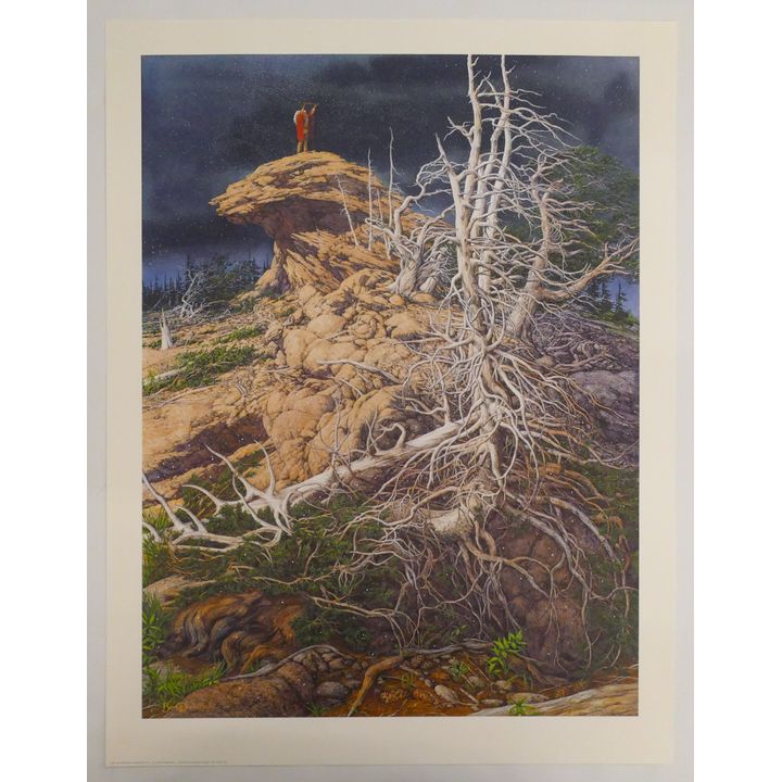 Bev Doolittle ''Prayer For The Wild Things'' S/N Lithograph.