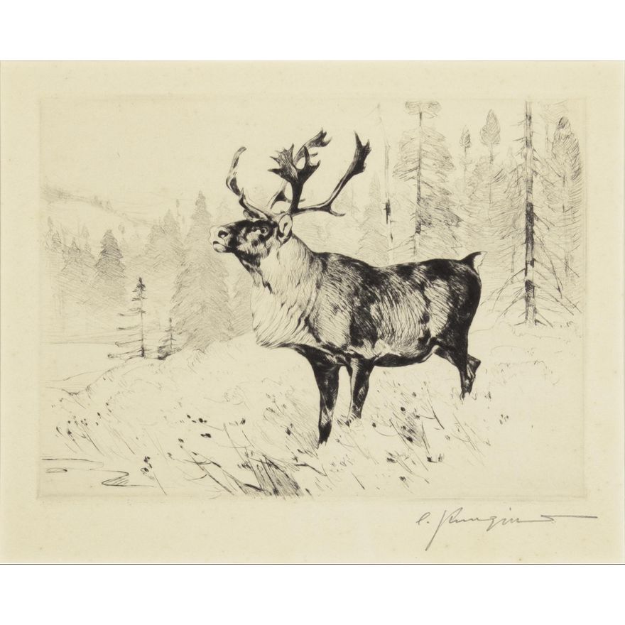 Carl Rungius (1869-1959): A Woodland Stag