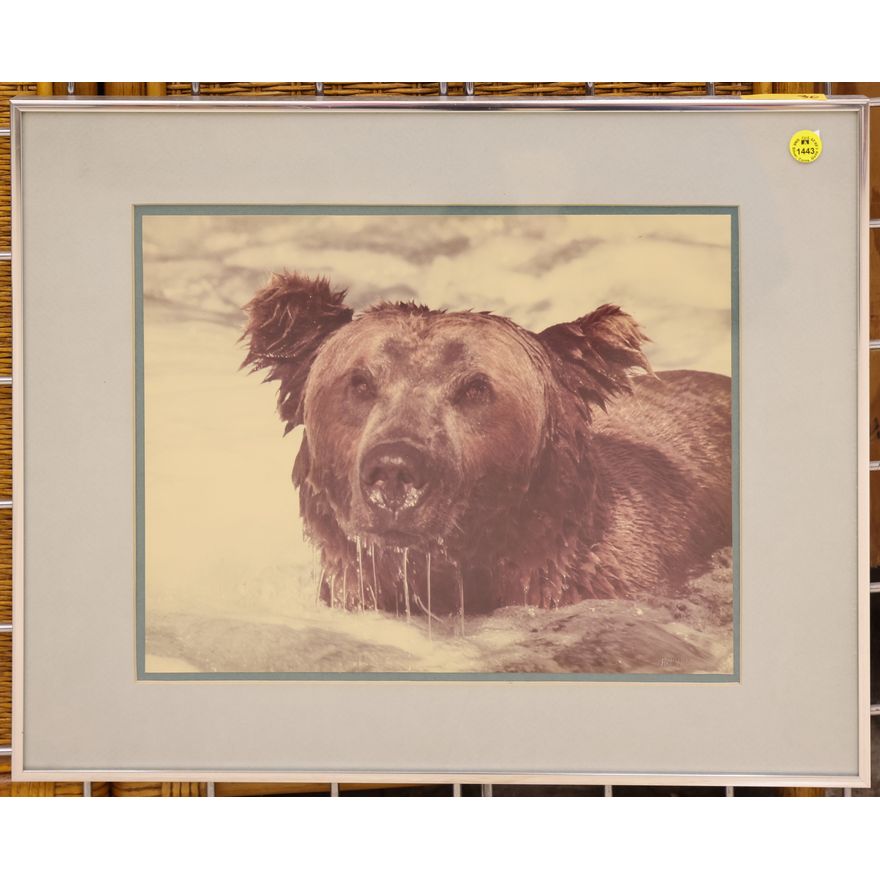 Art Wolfe ''Alaskan Brown Bear'' Photograph Framed 16''x20''