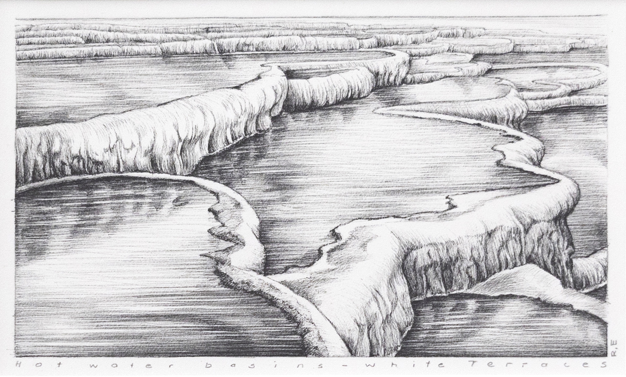 Rod Eales 'Hot water basins - White Terraces' — NZ auction result
