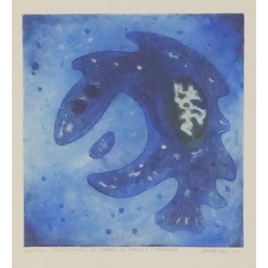 Harald Kryvi (Norway) ''The Primordial Cell Gobbles'' Etching Framed 22''x18''