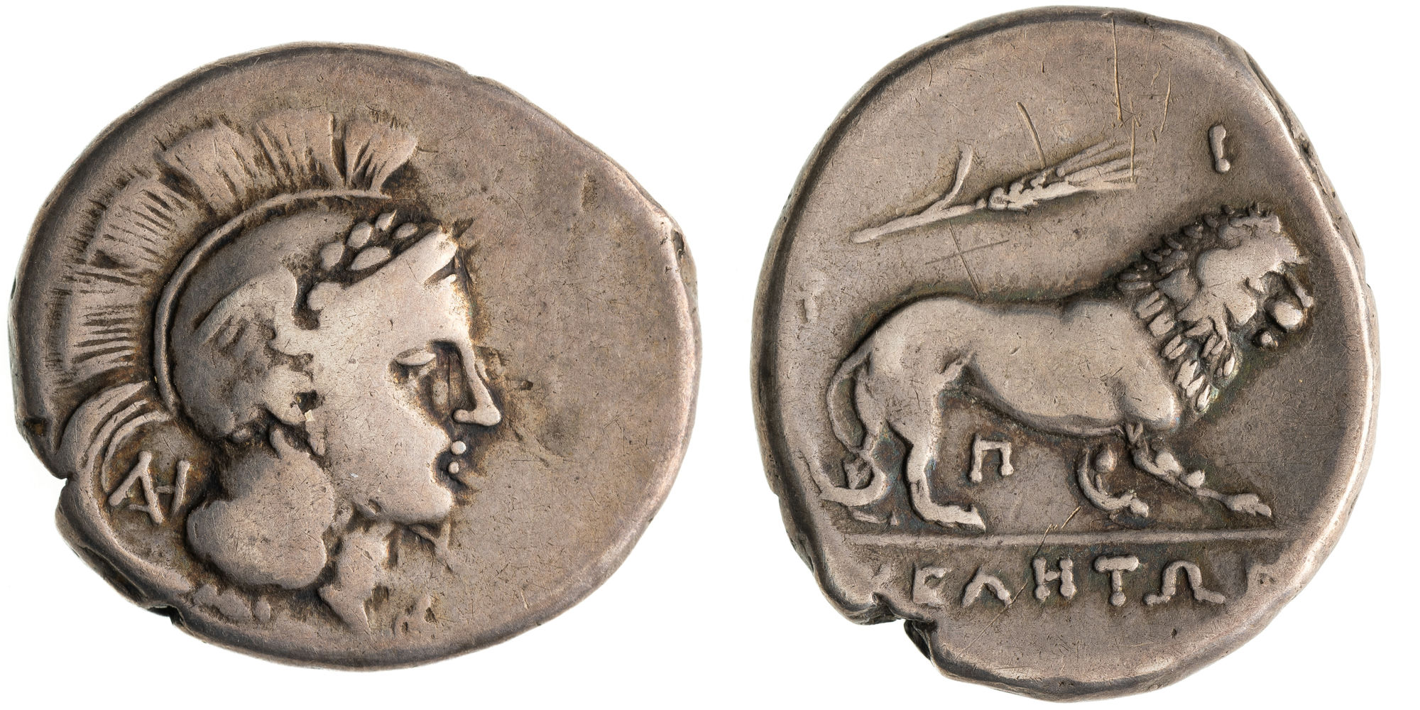 Lucania, Stater, 305 - 290 BC, gF