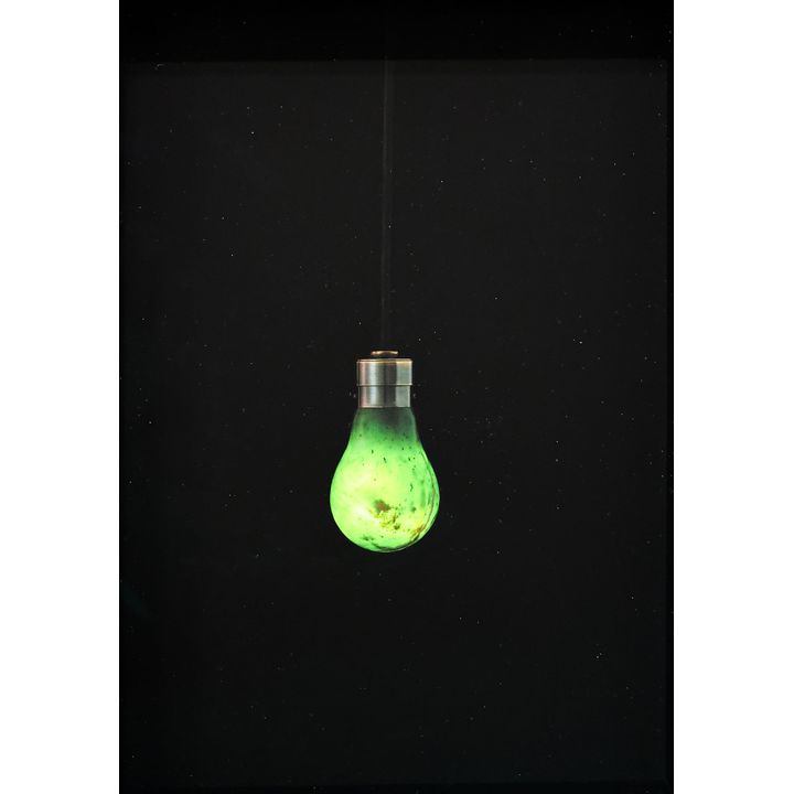 Joe Sheehan 'Bulb'