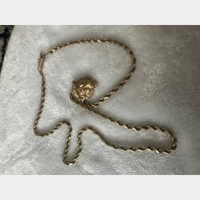 UPDATED - 14K Solid Gold chain with lion emblem
