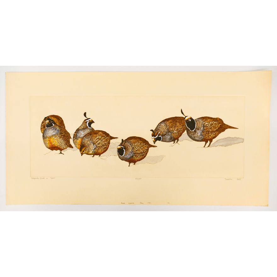 Sue Ellen Ross ''California Quail in Snow'' S/N 1982 Hand Colored