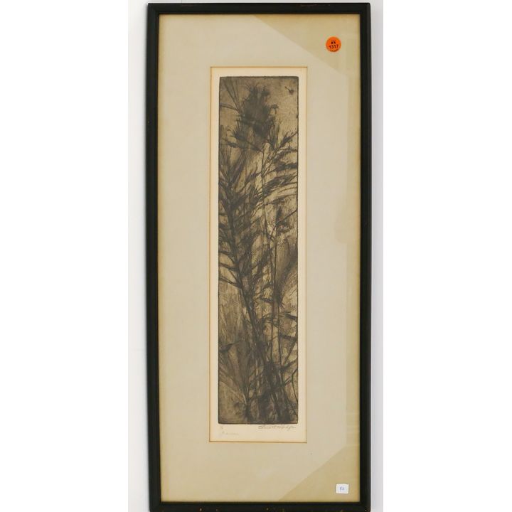 Stuart Hodge 'Grasses' S/N Abstract Etching Framed- 26x11''