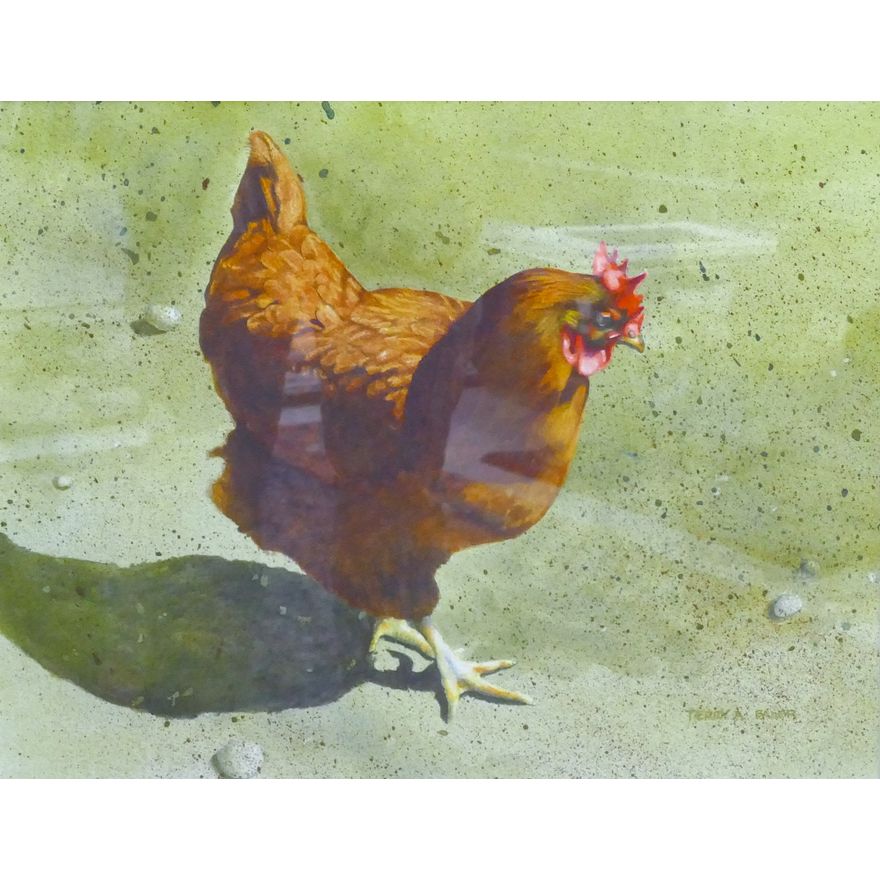 Terry Ann Bader ''Cluck Cluck'' (Rooster) Watercolor Framed 20''x24''