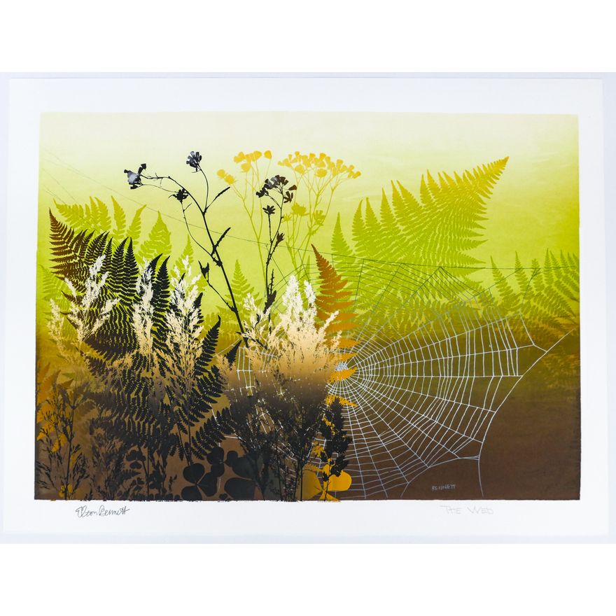 Elton Bennett ''The Web'' Signed Serigraph Sheet 19''x25''