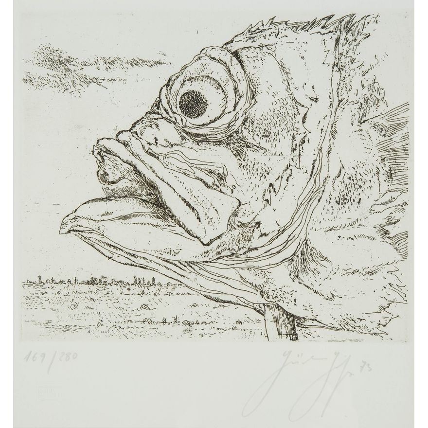 Günther Grass | Fischerkopf, 1973
