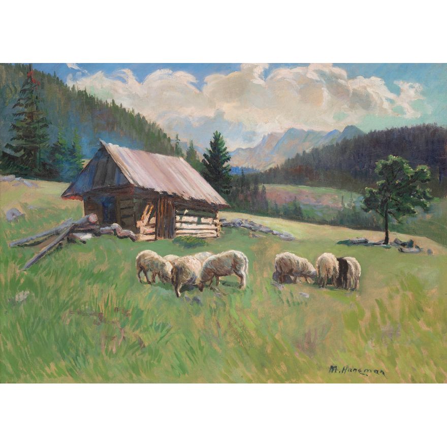 Max Hanemann | Hala Kondratowa, przed 1929 r.