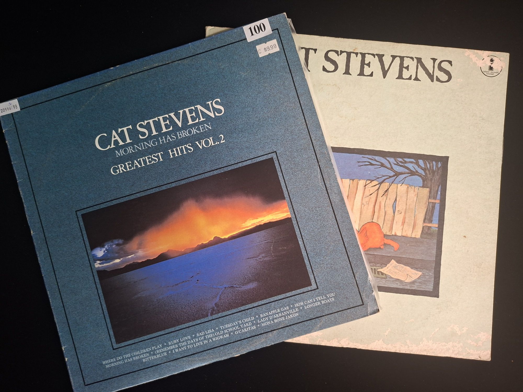 Cat Stevens