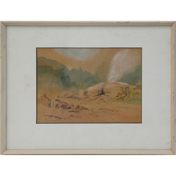 RIX CARLTON, Pareia Geyser, Whakarewarewa